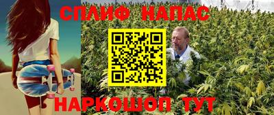наркотики Гатчина