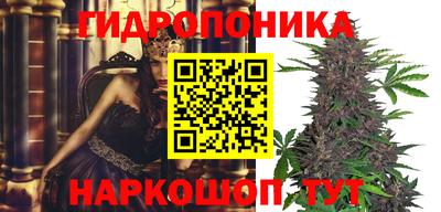 наркотики Гатчина