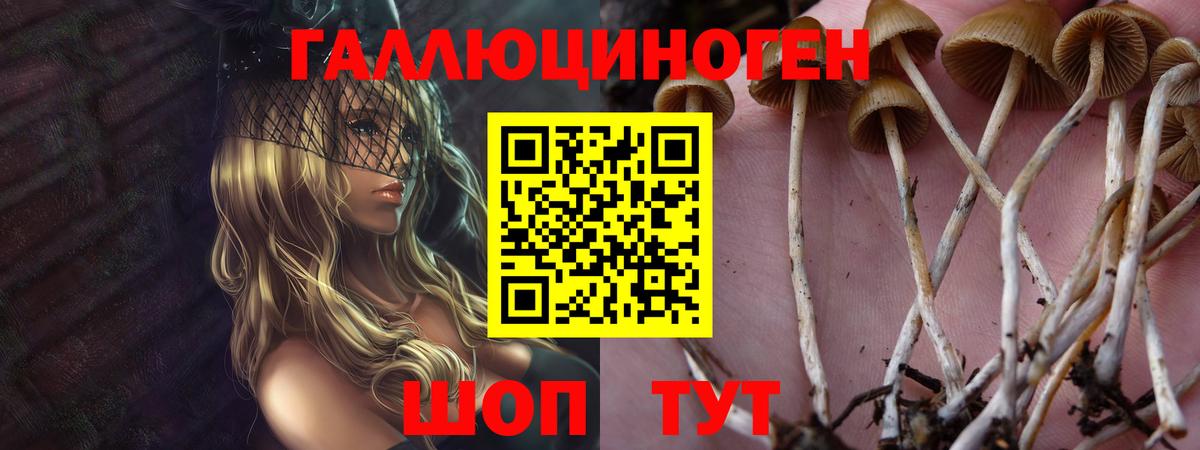 Псилоцибиновые грибы прущие грибы Людиново